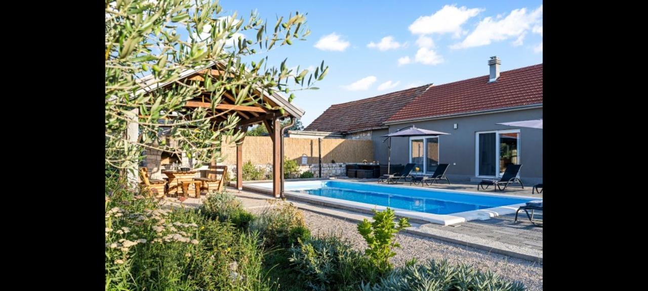 Villa Olive Tree House With Jacuzzi, Wifi And 40m2 Pool Siritovci