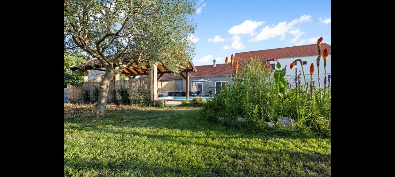Villa Olive Tree House With Jacuzzi, Wifi And 40m2 Pool Siritovci