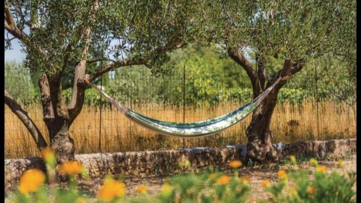 Olive Tree House With Jacuzzi, Wifi And 40m2 Pool Villa *